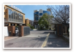 羽衣国際大学