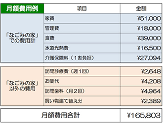 月額費用例